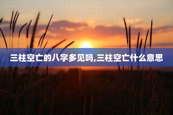 三柱空亡的八字多见吗,三柱空亡什么意思