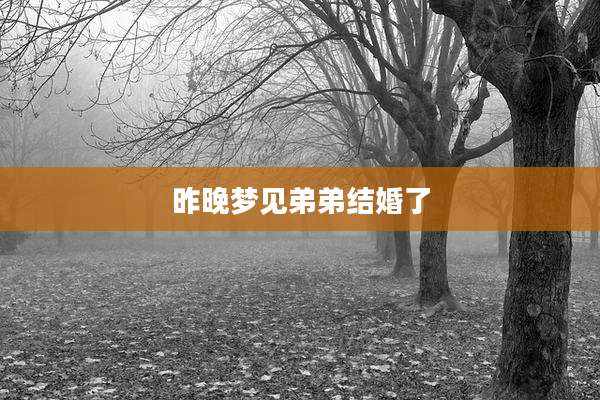 昨晚梦见弟弟结婚了