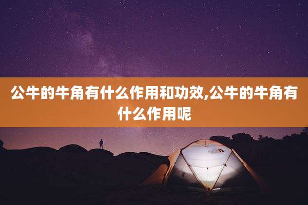 公牛的牛角有什么作用和功效,公牛的牛角有什么作用呢