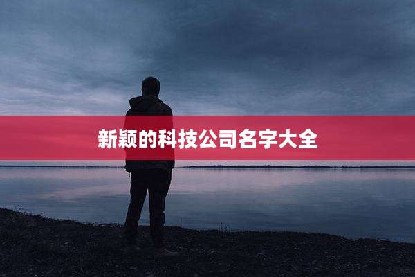 新颖的科技公司名字大全