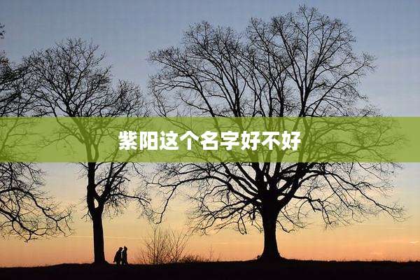 紫阳这个名字好不好