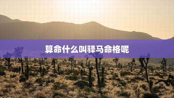 算命什么叫驿马命格呢