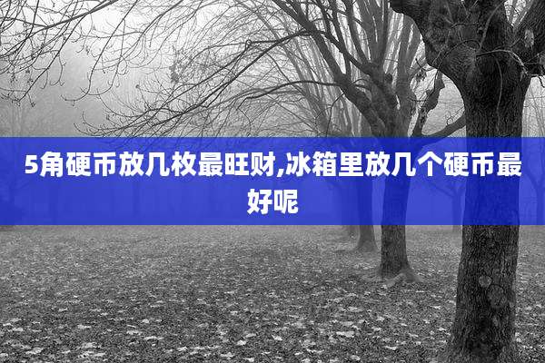 5角硬币放几枚最旺财,冰箱里放几个硬币最好呢