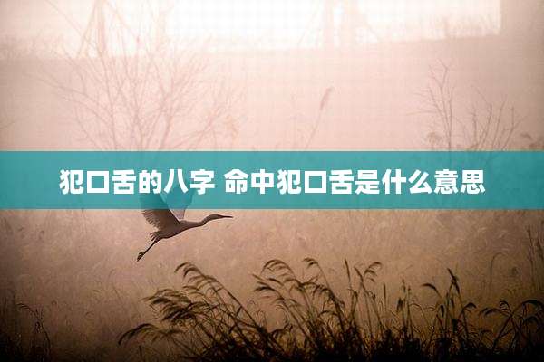 犯口舌的八字 命中犯口舌是什么意思