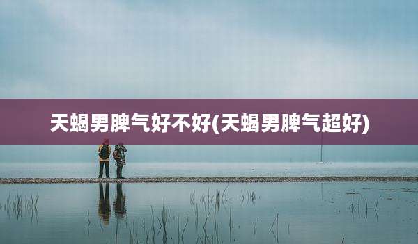 天蝎男脾气好不好(天蝎男脾气超好)