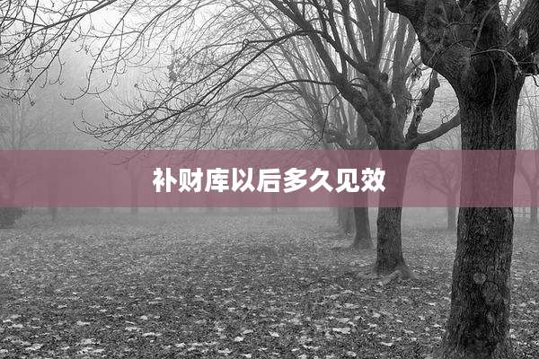 补财库以后多久见效
