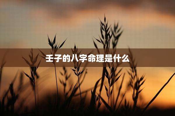 壬子的八字命理是什么