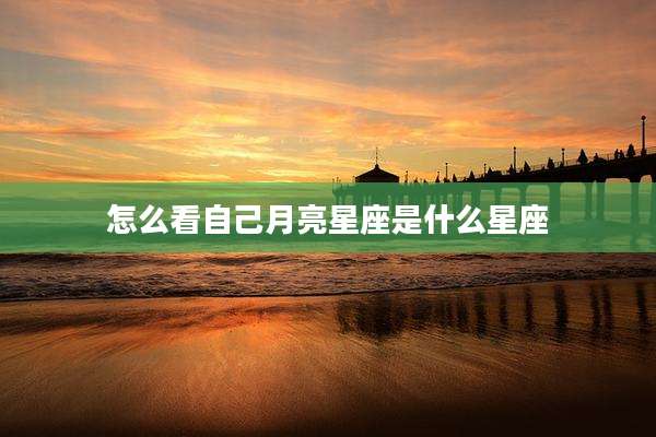 怎么看自己月亮星座是什么星座