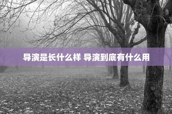 导演是长什么样 导演到底有什么用