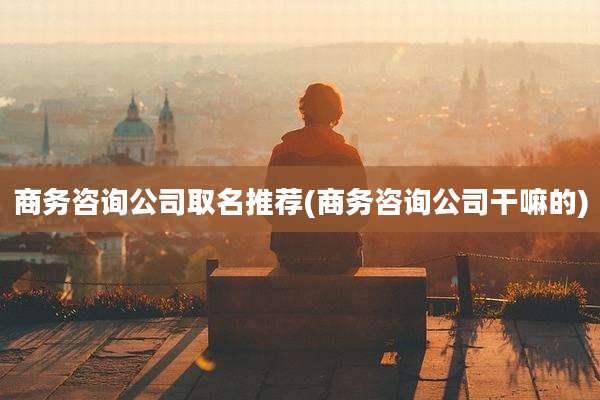 商务咨询公司取名推荐(商务咨询公司干嘛的)