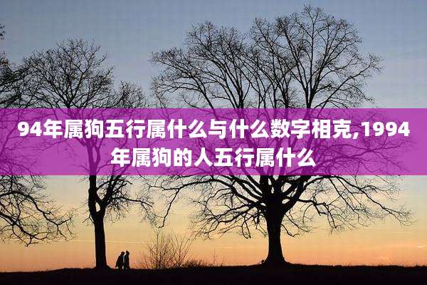 94年属狗五行属什么与什么数字相克,1994年属狗的人五行属什么