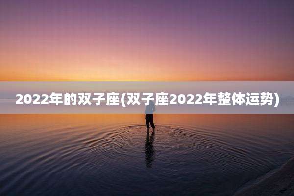 2022年的双子座(双子座2022年整体运势)
