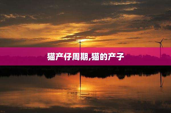 猫产仔周期,猫的产子