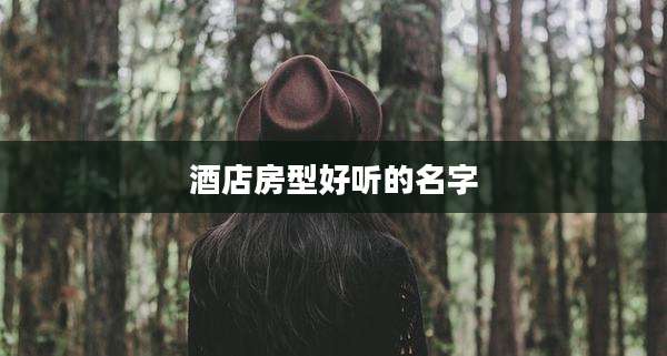 酒店房型好听的名字