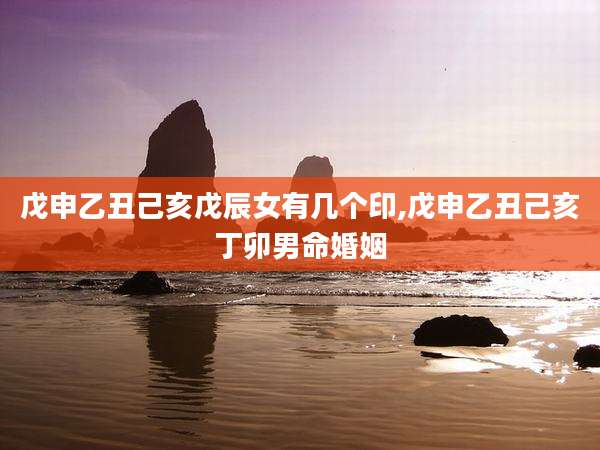 戊申乙丑己亥戊辰女有几个印,戊申乙丑己亥丁卯男命婚姻