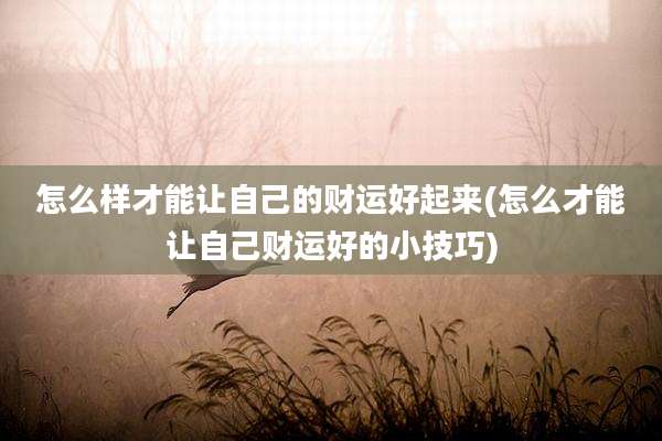 怎么样才能让自己的财运好起来(怎么才能让自己财运好的小技巧)
