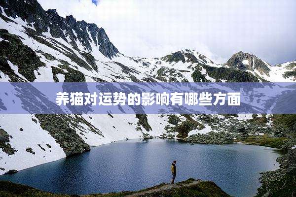 养猫对运势的影响有哪些方面