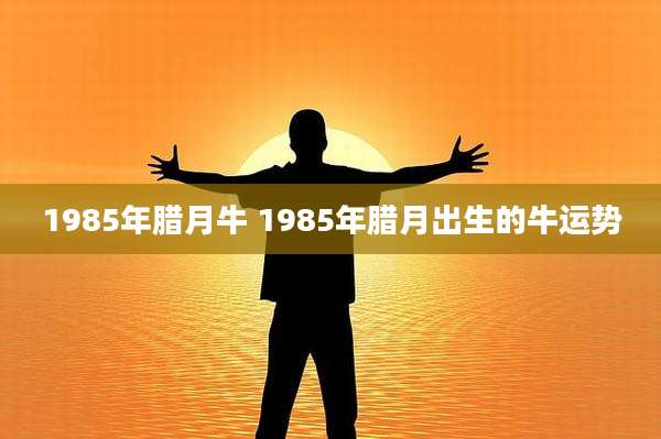 1985年腊月牛 1985年腊月出生的牛运势