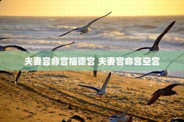 夫妻宫命宫福德宫 夫妻宫命宫空宫