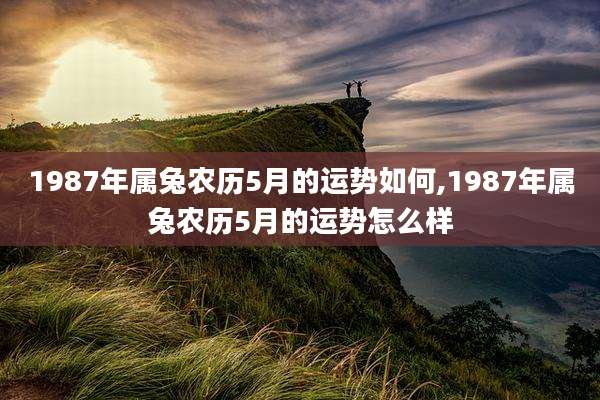1987年属兔农历5月的运势如何,1987年属兔农历5月的运势怎么样