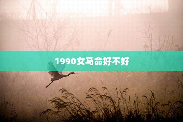 1990女马命好不好