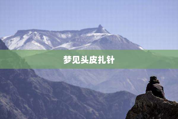 梦见头皮扎针