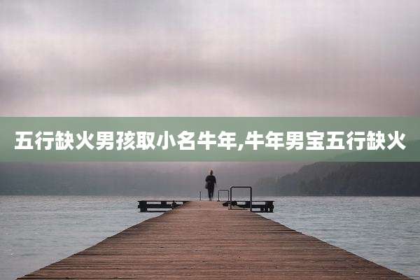 五行缺火男孩取小名牛年,牛年男宝五行缺火