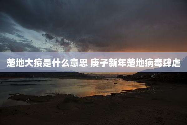楚地大疫是什么意思 庚子新年楚地病毒肆虐