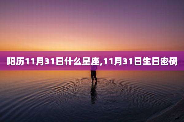 阳历11月31日什么星座,11月31日生日密码