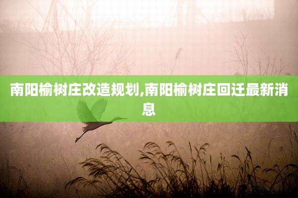 南阳榆树庄改造规划,南阳榆树庄回迁最新消息