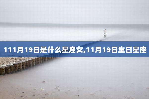 111月19日是什么星座女,11月19日生日星座