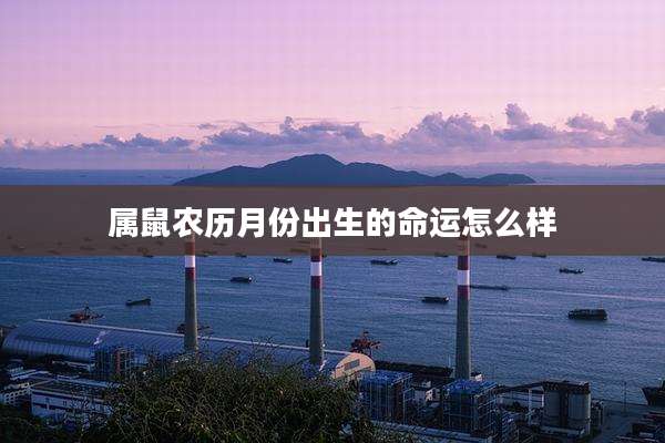 属鼠农历月份出生的命运怎么样