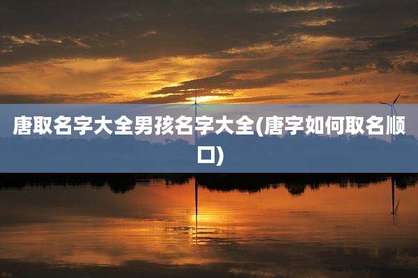 唐取名字大全男孩名字大全(唐字如何取名顺口)