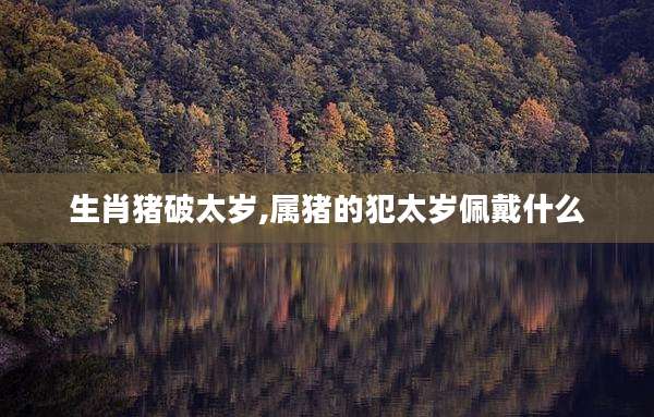 生肖猪破太岁,属猪的犯太岁佩戴什么