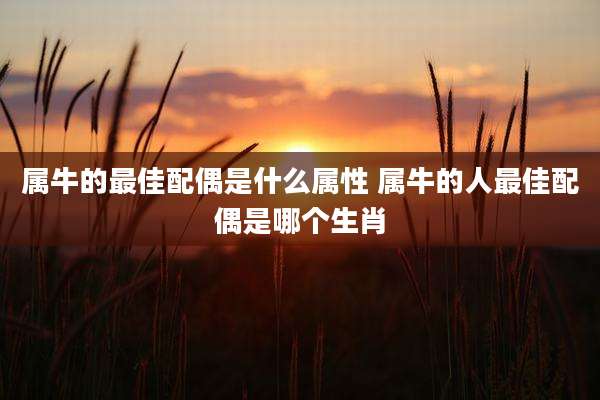 属牛的最佳配偶是什么属性 属牛的人最佳配偶是哪个生肖