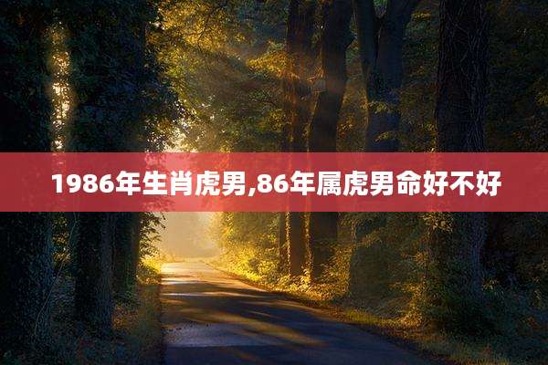 1986年生肖虎男,86年属虎男命好不好
