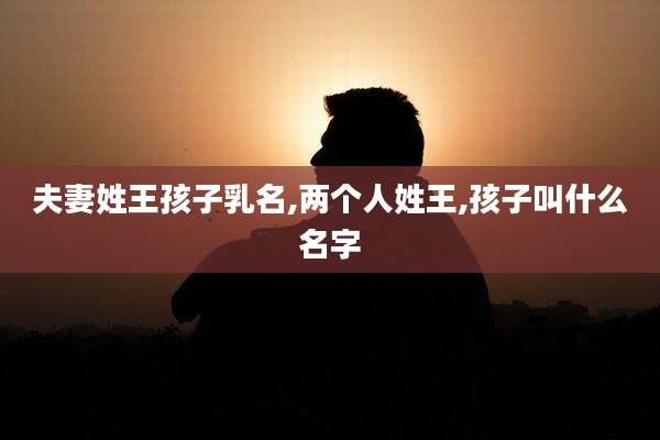 夫妻姓王孩子乳名,两个人姓王,孩子叫什么名字