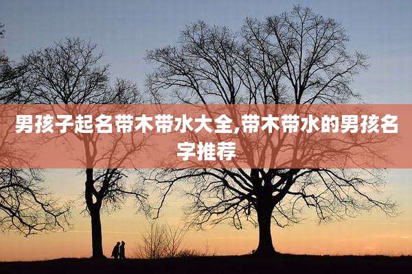 男孩子起名带木带水大全,带木带水的男孩名字推荐