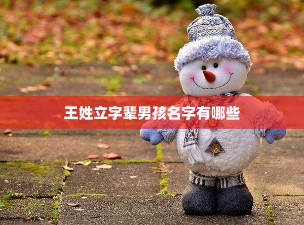 王姓立字辈男孩名字有哪些
