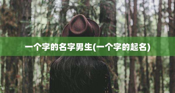 一个字的名字男生(一个字的起名)
