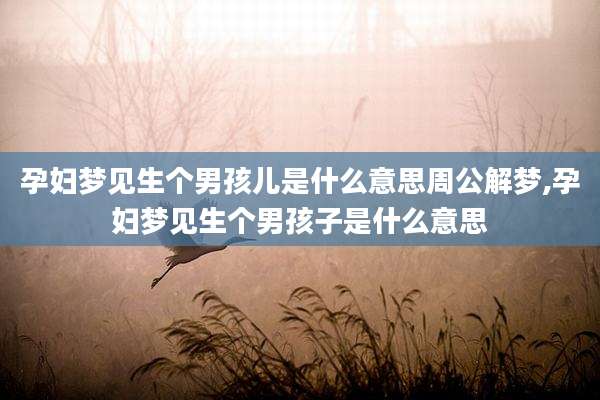 孕妇梦见生个男孩儿是什么意思周公解梦,孕妇梦见生个男孩子是什么意思