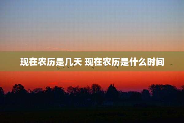 现在农历是几天 现在农历是什么时间