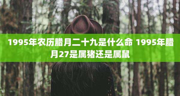 1995年农历腊月二十九是什么命 1995年腊月27是属猪还是属鼠