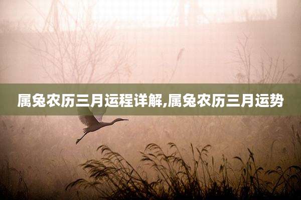 属兔农历三月运程详解,属兔农历三月运势