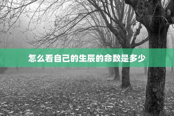 怎么看自己的生辰的命数是多少