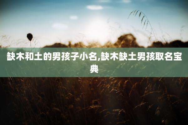 缺木和土的男孩子小名,缺木缺土男孩取名宝典