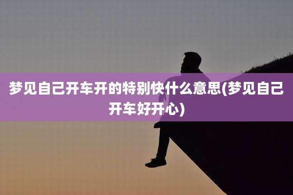梦见自己开车开的特别快什么意思(梦见自己开车好开心)
