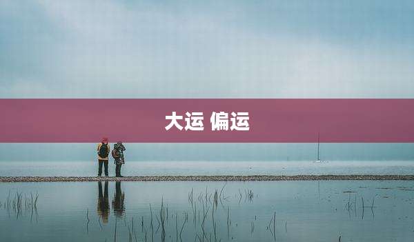 大运 偏运