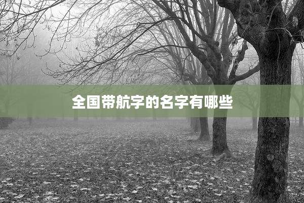 全国带航字的名字有哪些