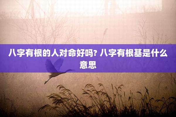 八字有根的人对命好吗? 八字有根基是什么意思